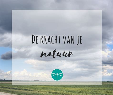  Zonneblomprinses – Een Verwonderlijk Sprook Over Identiteit en De Kracht Van De Natuur